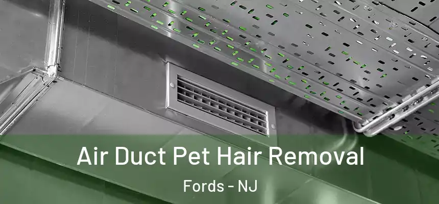  Air Duct Pet Hair Removal Fords - NJ