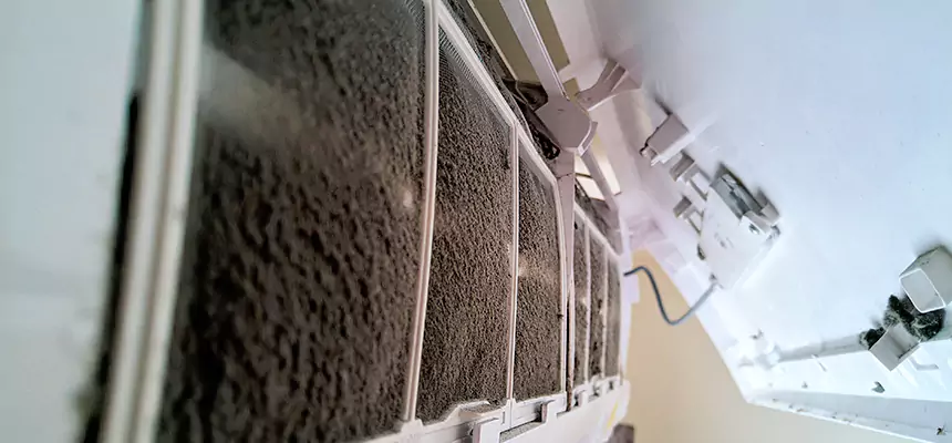 Preventive Air Duct Bacteria Removal in Fords