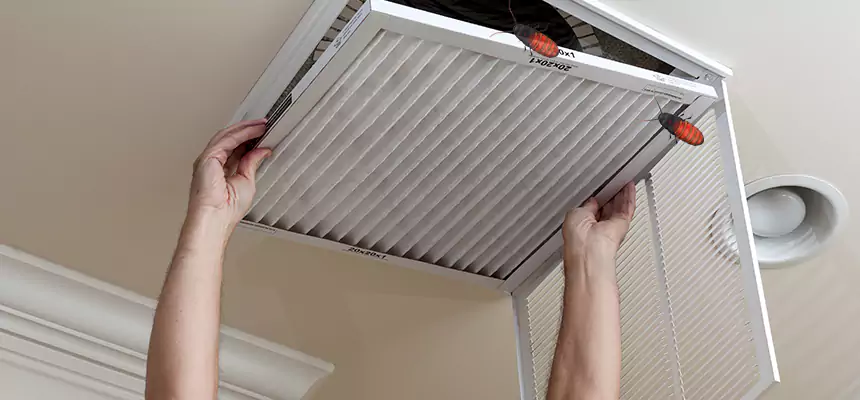 Our Insect Removal from Air Ducts Services in Fords, NJ