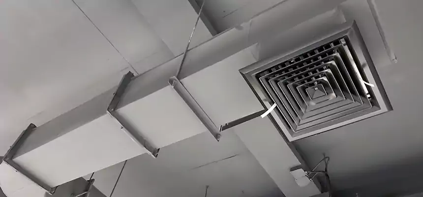 Our Pest Removal From Ducts Services in Fords, NJ