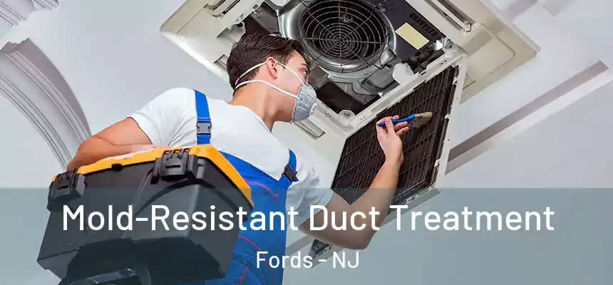  Mold-Resistant Duct Treatment Fords - NJ