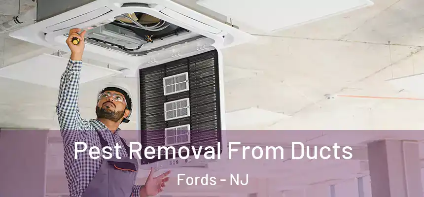  Pest Removal From Ducts Fords - NJ