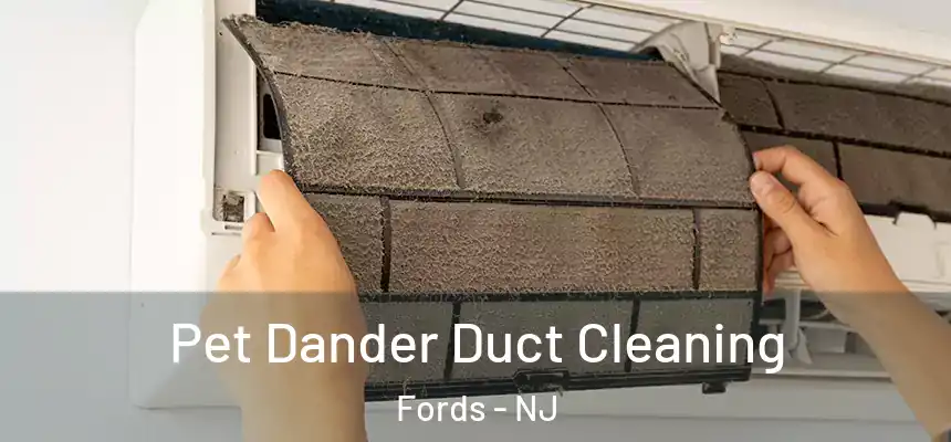  Pet Dander Duct Cleaning Fords - NJ