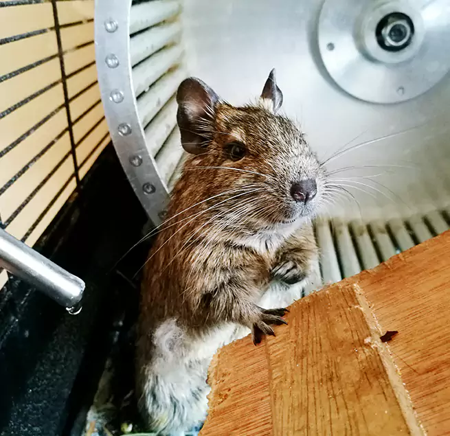 Why Homeowners & Businesses Trust Us Fords, NJ